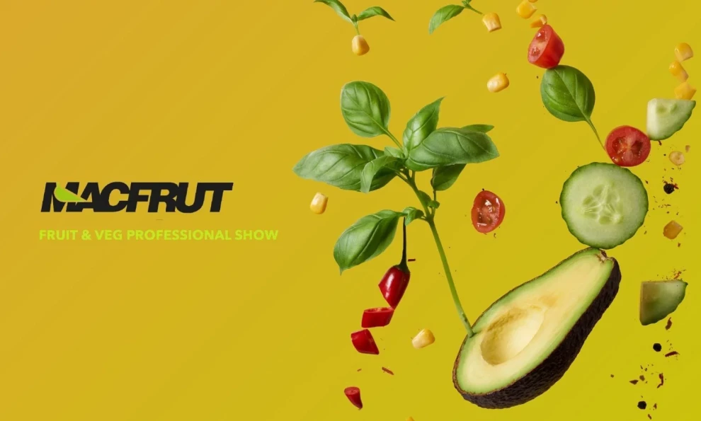 media.offerte_desktop_1728461699_litoraneo-offerta-business