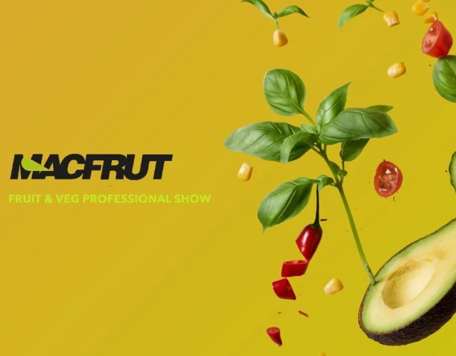 media.offerte_desktop_1728461699_litoraneo-offerta-business